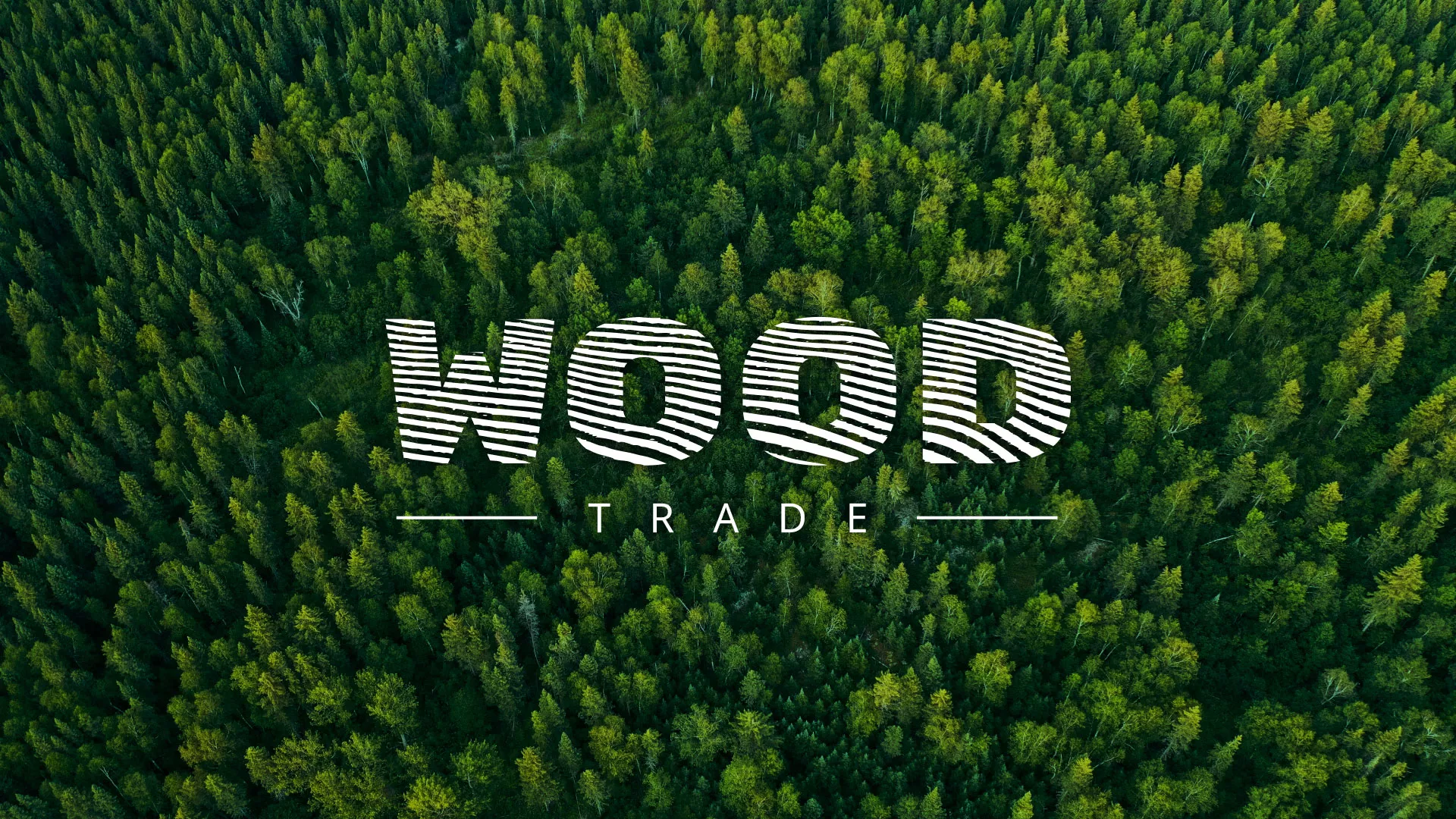 Разработка интернет-магазина компании «Wood Trade» в Бородино